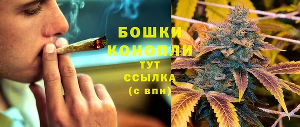 ПСИЛОЦИБИНОВЫЕ ГРИБЫ Нефтегорск