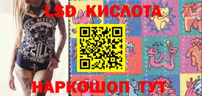 сатива Камышлов