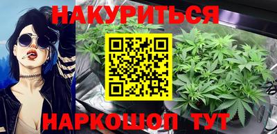 сатива Камышлов