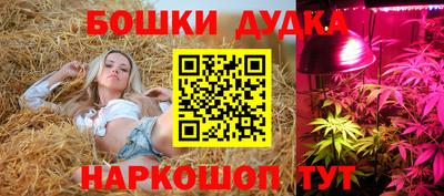 сатива Камышлов