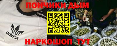 сатива Камышлов