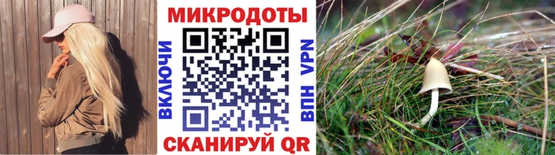 Галлюциногенные грибы GOLDEN TEACHER  где купить наркоту  Новоалтайск 