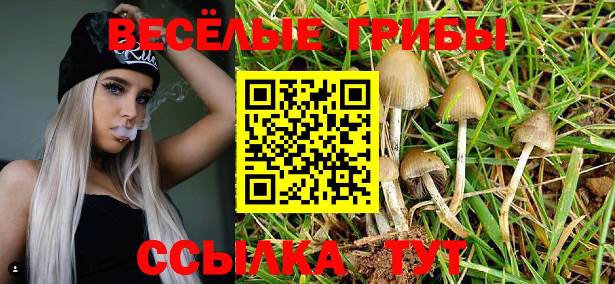 Галлюциногенные грибы прущие грибы Новоалтайск